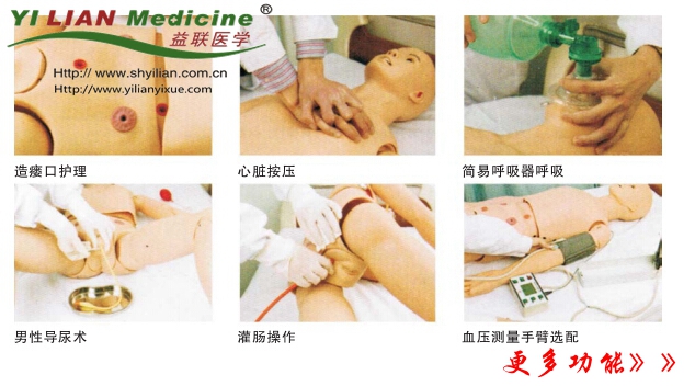 高級(jí)成人護(hù)理及CPR模型人