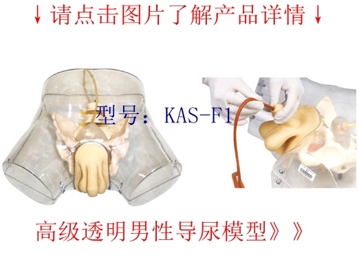 醫(yī)學(xué)教學(xué)模型