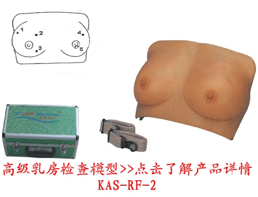高級乳房檢查模型
