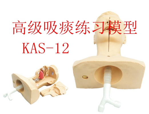 高級(jí)吸痰練習(xí)模型